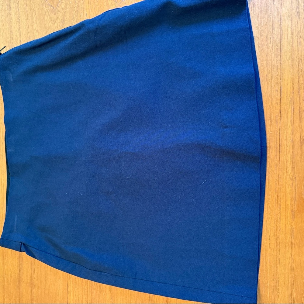 Everlane Navy Skirt with Black Accents
